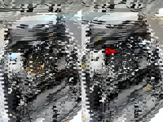 Certified 2022 Ford Escape SE w/ Cold Weather Package image 3