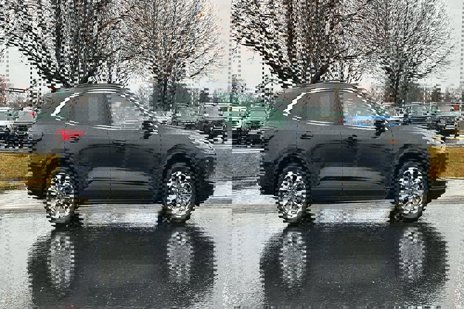 Certified 2025 Ford Escape Platinum image 6