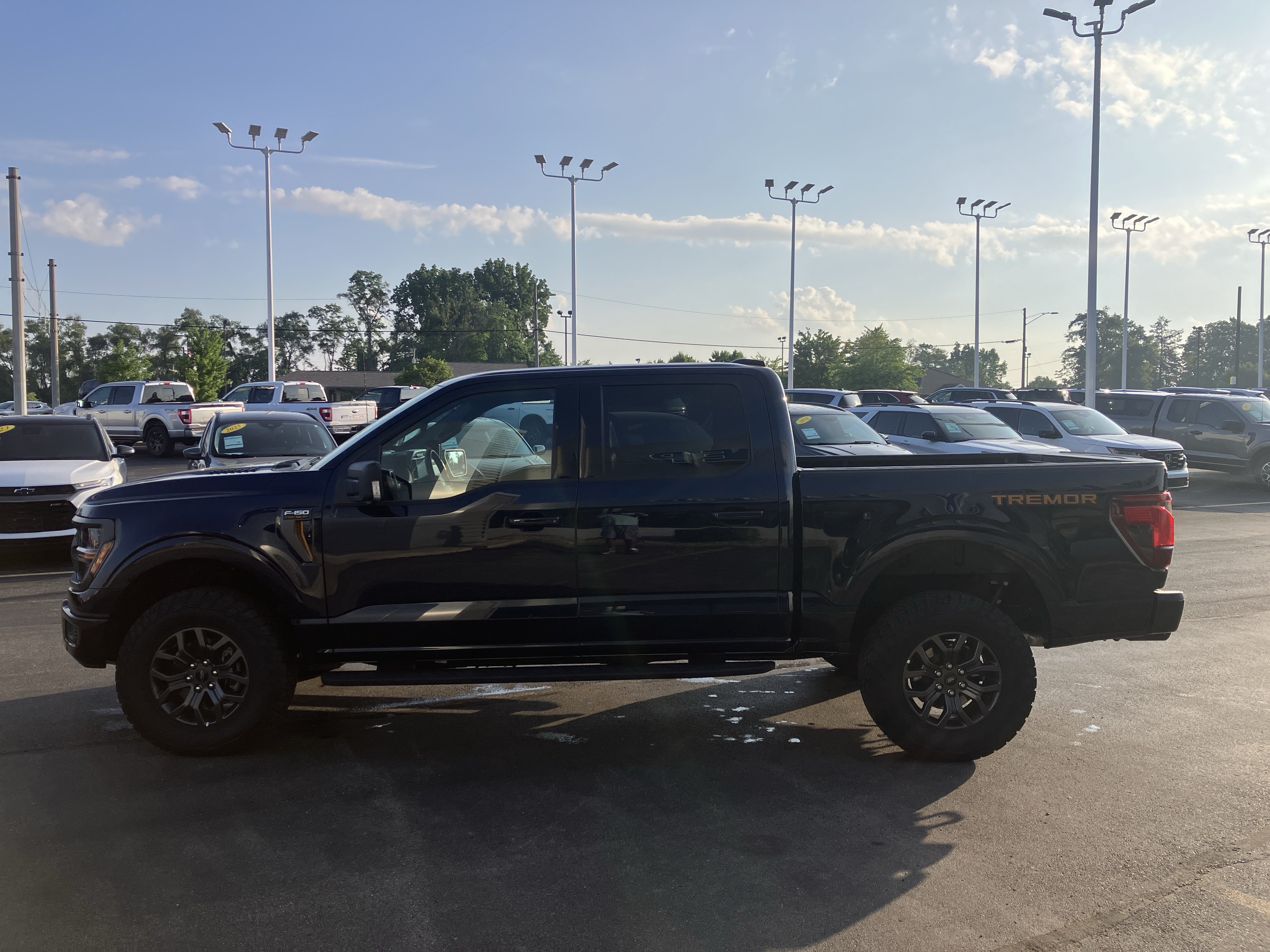 Certified 2025 Ford F150 Tremor w/ Bed Utility Package AWD/4WD image 4