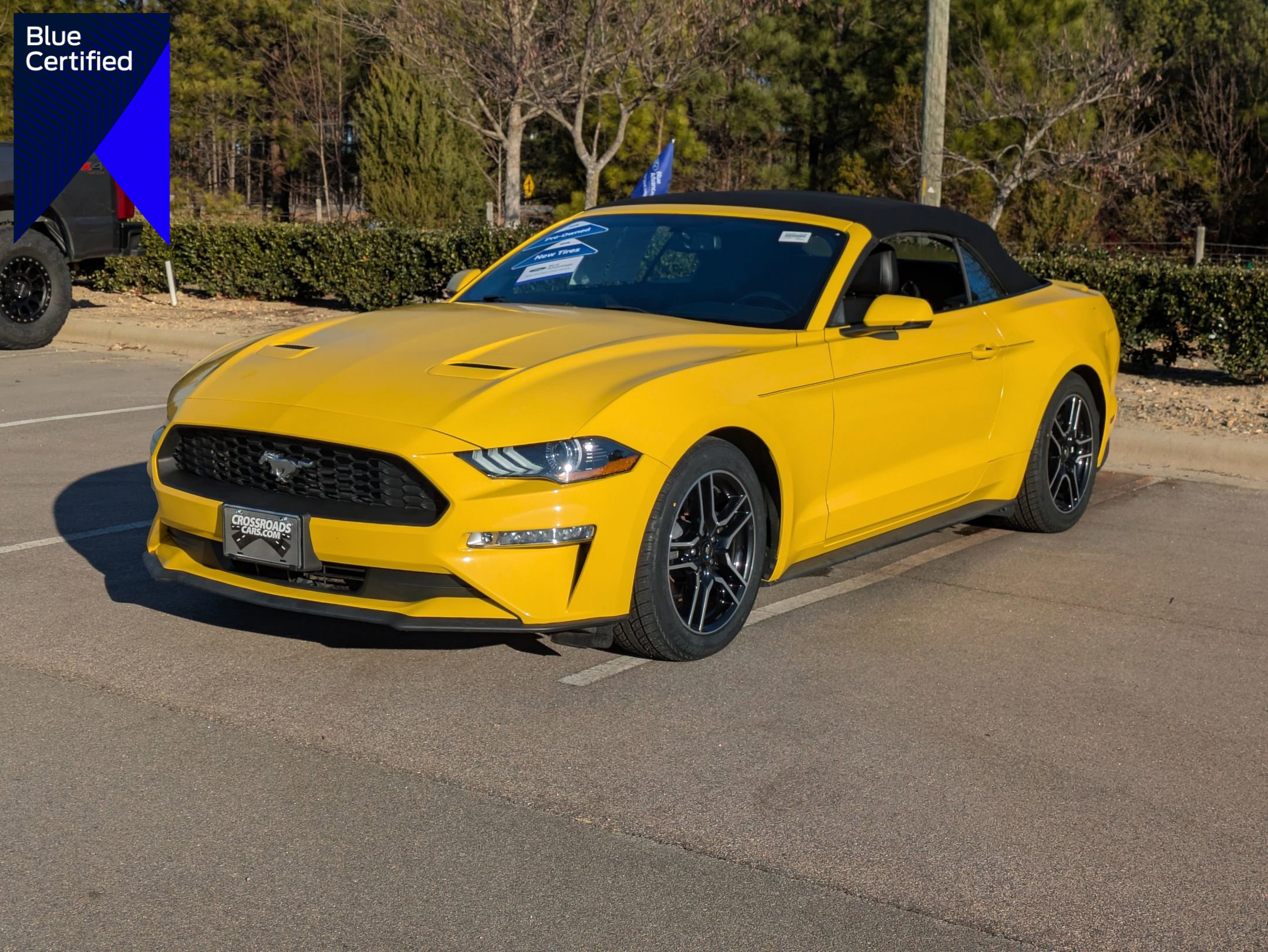 Certified 2018 Ford Mustang Premium w/ Equipment Group 201A image 1