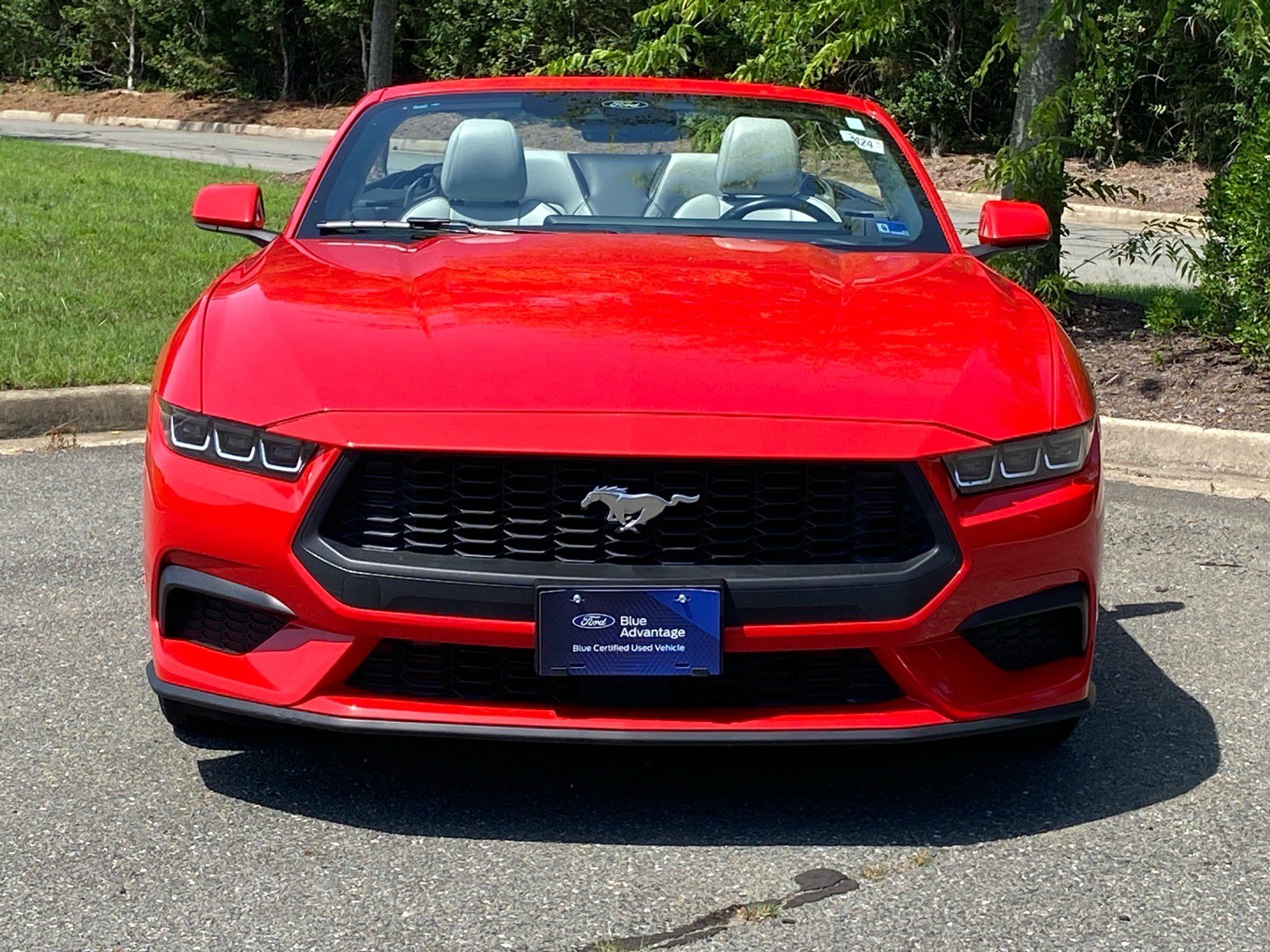Certified 2024 Ford Mustang Premium RWD image 6