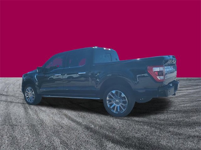 Certified 2023 Ford F150 Limited image 3