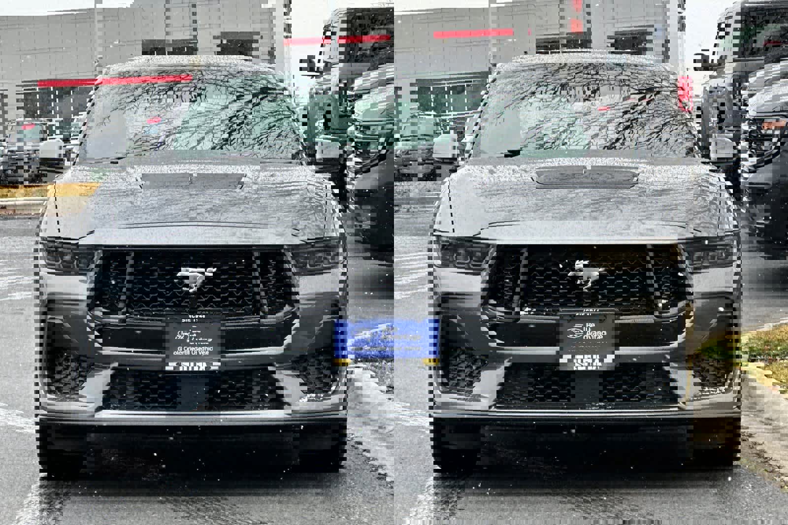 Certified 2025 Ford Mustang GT image 8