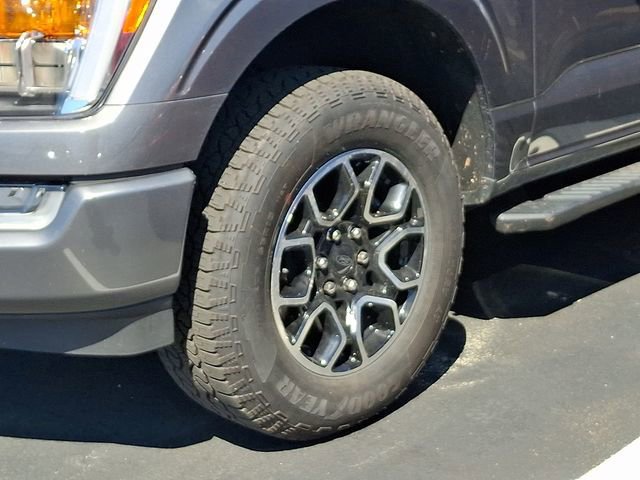 Certified 2023 Ford F150 XLT w/ Equipment Group 302A High image 6