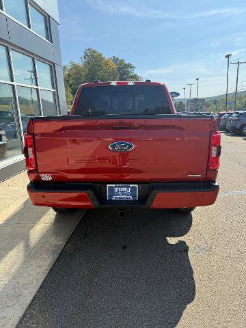 Certified 2023 Ford F150 XLT w/ Equipment Group 302A High image 4
