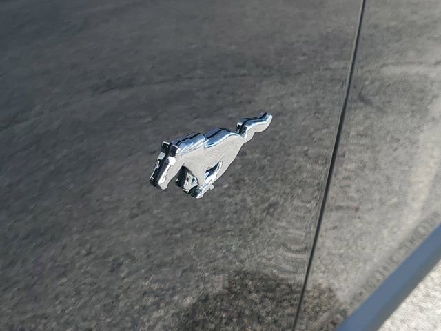 Certified 2024 Ford Mustang Premium image 6