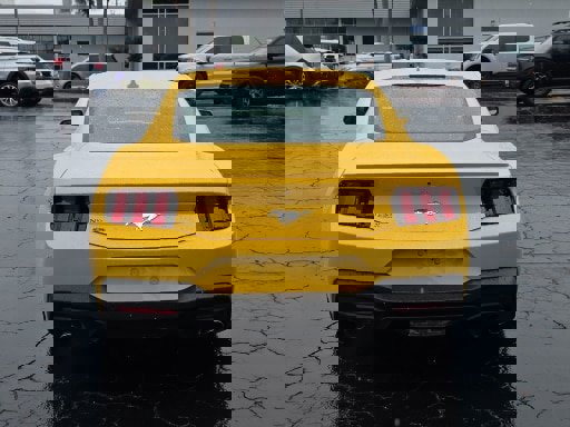 Certified 2024 Ford Mustang Premium image 4