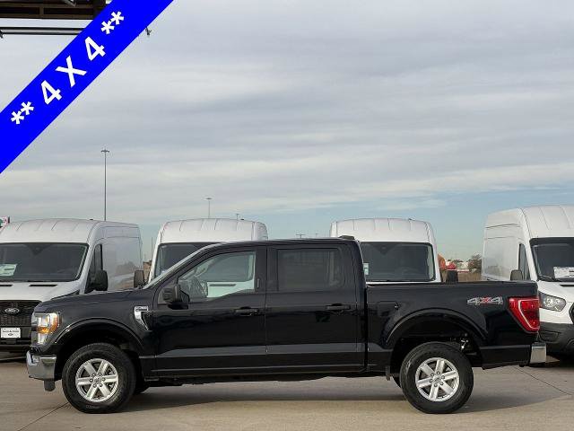 Certified 2022 Ford F150 XLT w/ Equipment Group 301A Mid image 3