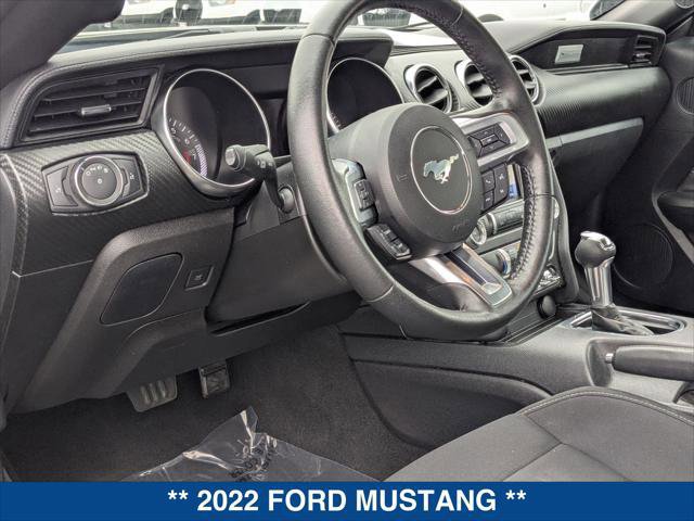 Certified 2022 Ford Mustang EcoBoost Fastback w/ Equipment Group 101A image 12