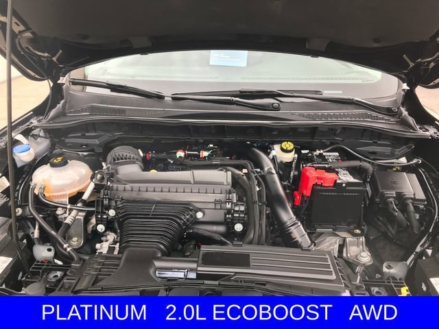 Certified 2024 Ford Escape Platinum image 3