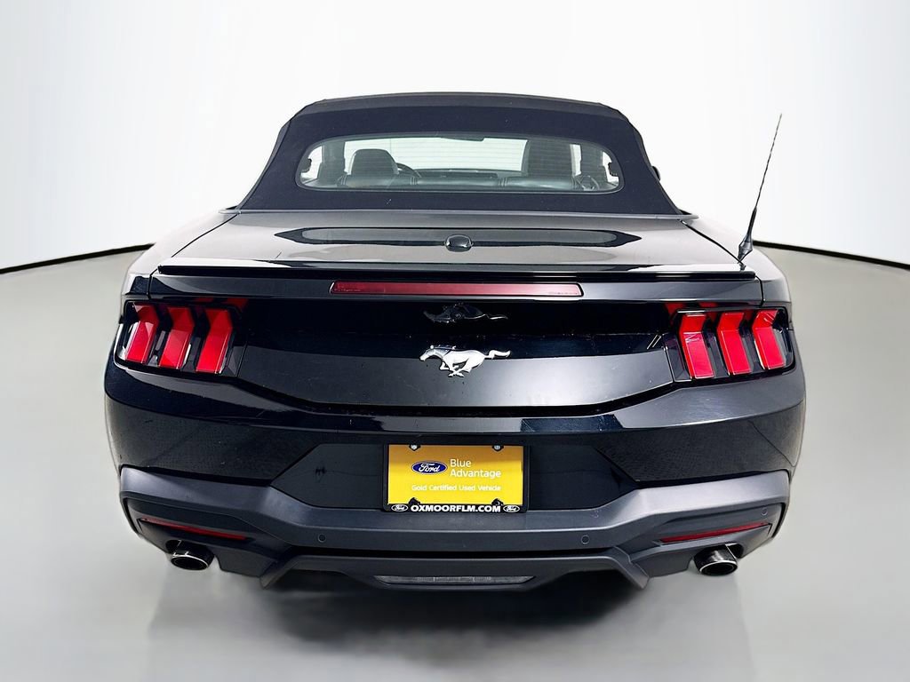 Certified 2024 Ford Mustang Premium image 4