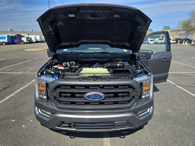 Certified 2022 Ford F150 XLT w/ Equipment Group 302A High image 24