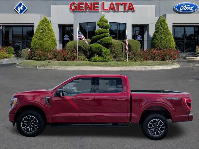 Certified 2022 Ford F150 XLT w/ Equipment Group 302A High video 2