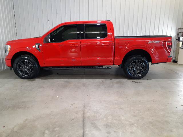 Certified 2021 Ford F150 XLT w/ Equipment Group 302A High AWD/4WD image 7