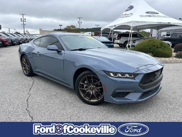 Certified 2024 Ford Mustang Premium RWD image 1