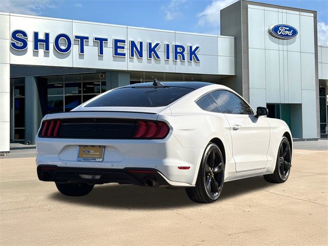 Certified 2022 Ford Mustang EcoBoost w/ Equipment Group 101A image 8