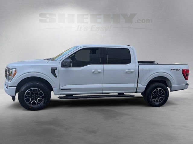 Certified 2023 Ford F150 XLT w/ Equipment Group 302A High AWD/4WD image 15
