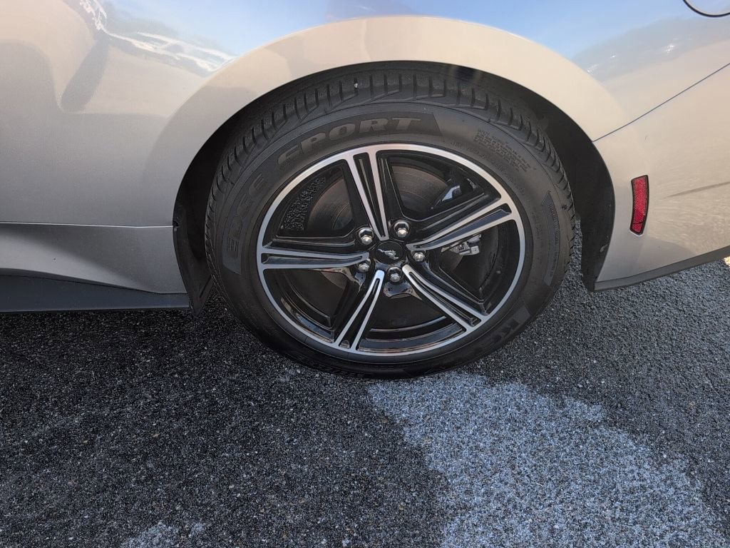 Certified 2024 Ford Mustang Premium image 13