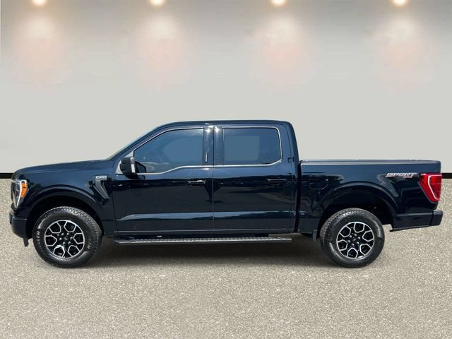 Certified 2023 Ford F150 XLT w/ Equipment Group 302A High AWD/4WD image 8