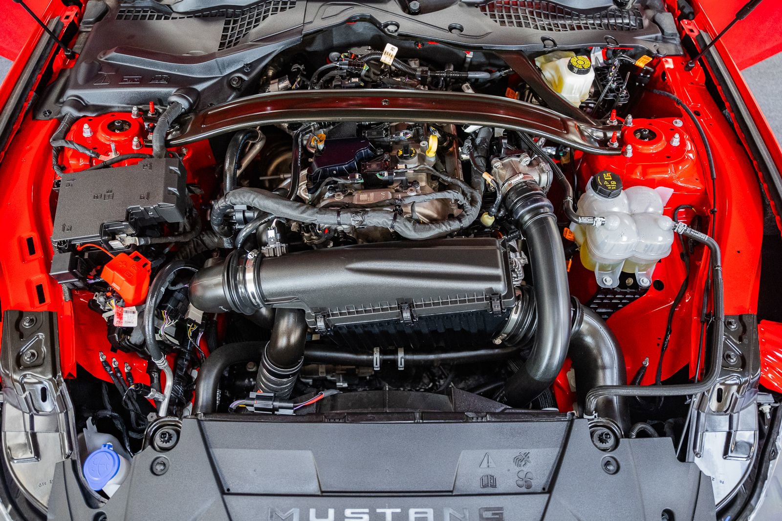 Certified 2025 Ford Mustang Premium image 23