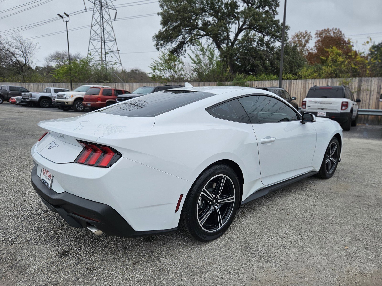 Certified 2025 Ford Mustang EcoBoost image 3