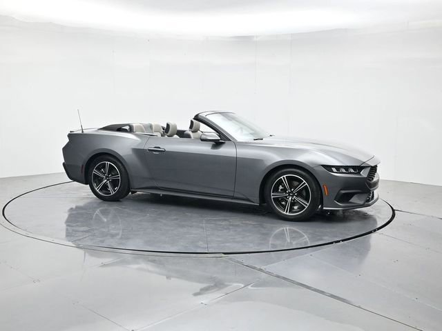 Certified 2024 Ford Mustang Premium RWD image 3