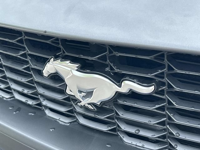 Certified 2025 Ford Mustang Premium RWD image 10