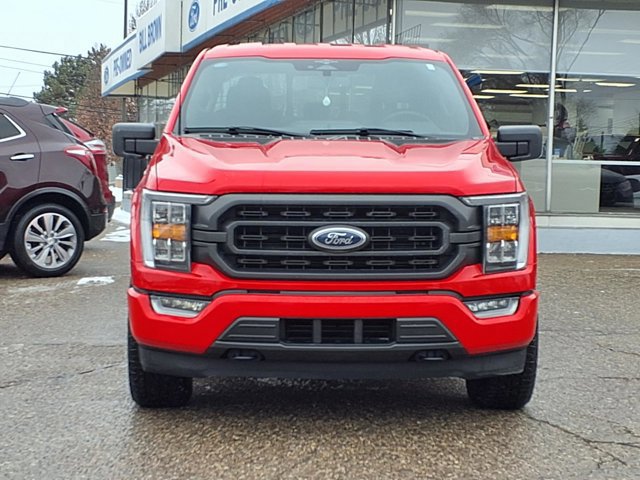 Certified 2023 Ford F150 XLT w/ Equipment Group 302A High image 4