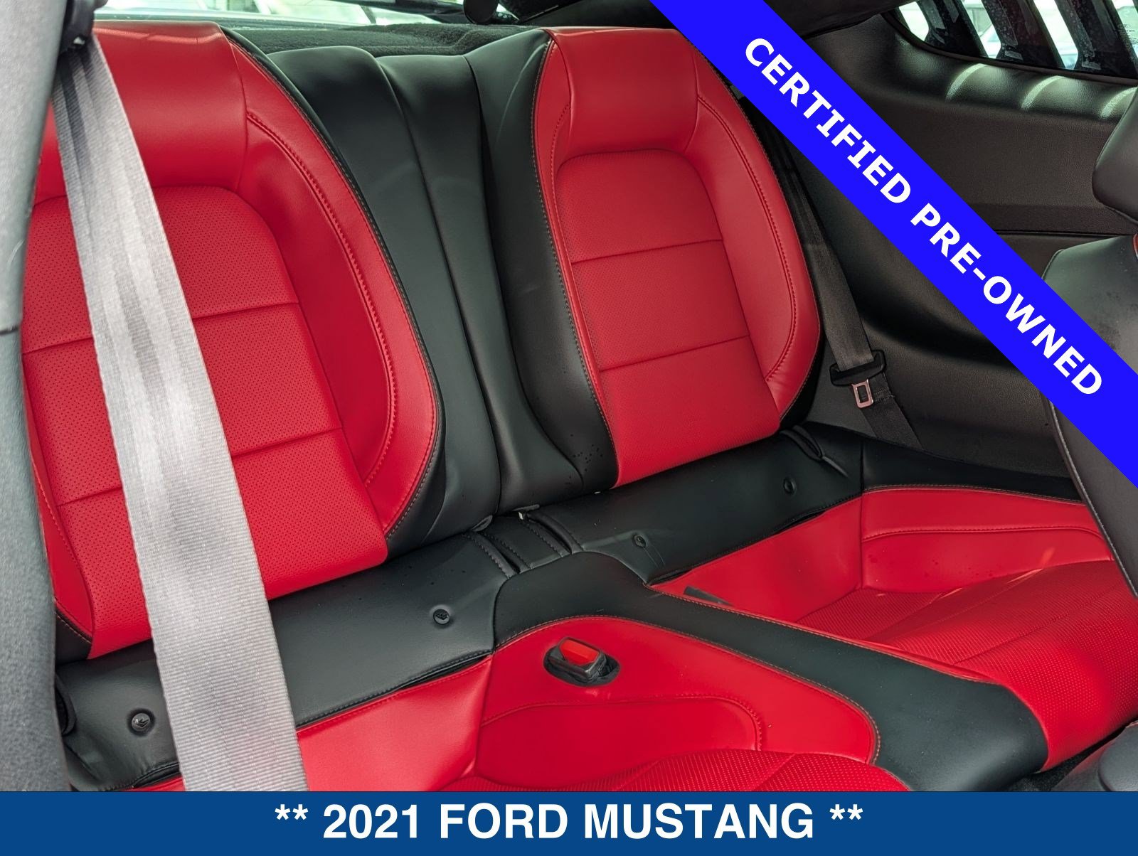 Certified 2021 Ford Mustang GT Premium w/ GT Performance Package RWD image 16