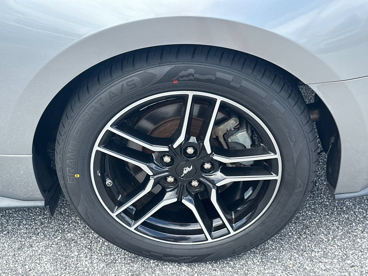 Certified 2021 Ford Mustang GT Premium RWD image 20