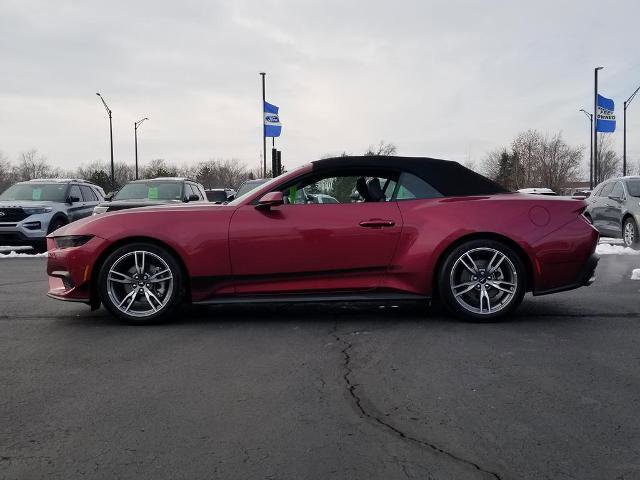 Certified 2025 Ford Mustang Premium w/ Wheel & Stripe Package image 5