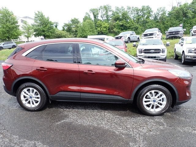 Certified 2021 Ford Escape SE w/ Cold Weather Package AWD/4WD image 9