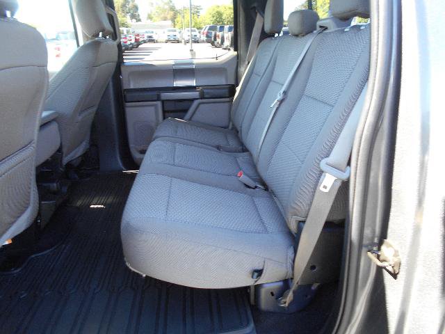 Certified 2019 Ford F150 XLT w/ Equipment Group 302A Luxury AWD/4WD image 7