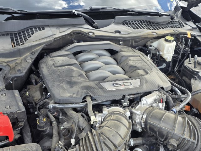 Certified 2024 Ford Mustang GT w/ Mustang Nite Pony Package RWD image 32