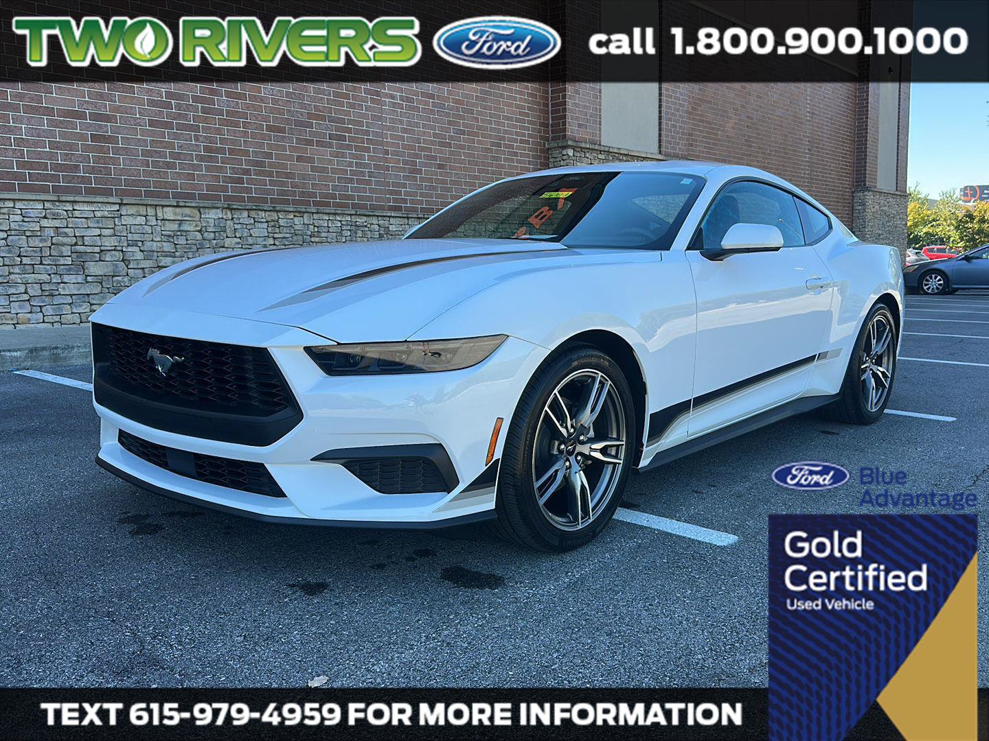 Certified 2025 Ford Mustang Coupe w/ Wheel & Stripe Package