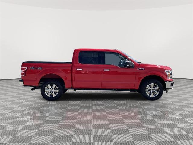 Certified 2019 Ford F150 XLT w/ Equipment Group 302A Luxury AWD/4WD image 6