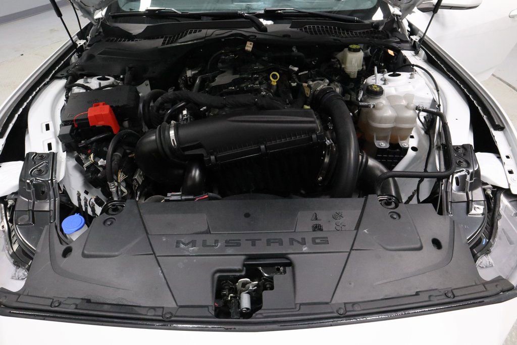 Certified 2024 Ford Mustang EcoBoost image 14
