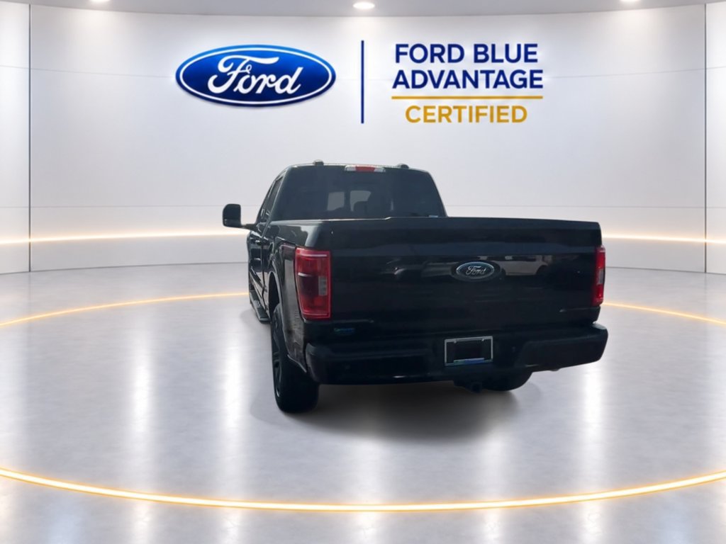 Certified 2023 Ford F150 XLT w/ Equipment Group 302A High AWD/4WD image 7