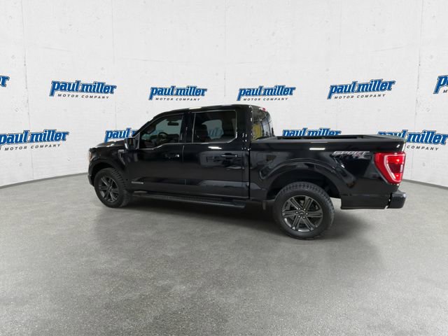 Certified 2023 Ford F150 XLT w/ Equipment Group 302A High AWD/4WD image 7