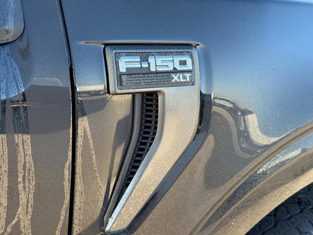 Certified 2023 Ford F150 XLT w/ Equipment Group 302A High AWD/4WD image 7