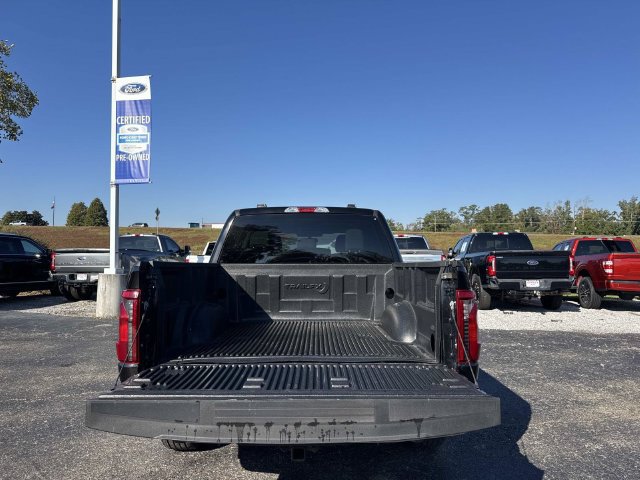 Certified 2025 Ford F150 XLT w/ Equipment Group 301A Standard RWD image 8