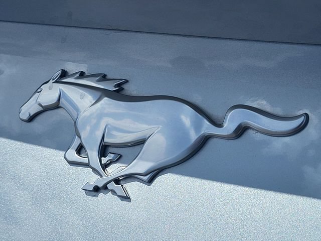 Certified 2025 Ford Mustang Premium RWD image 13