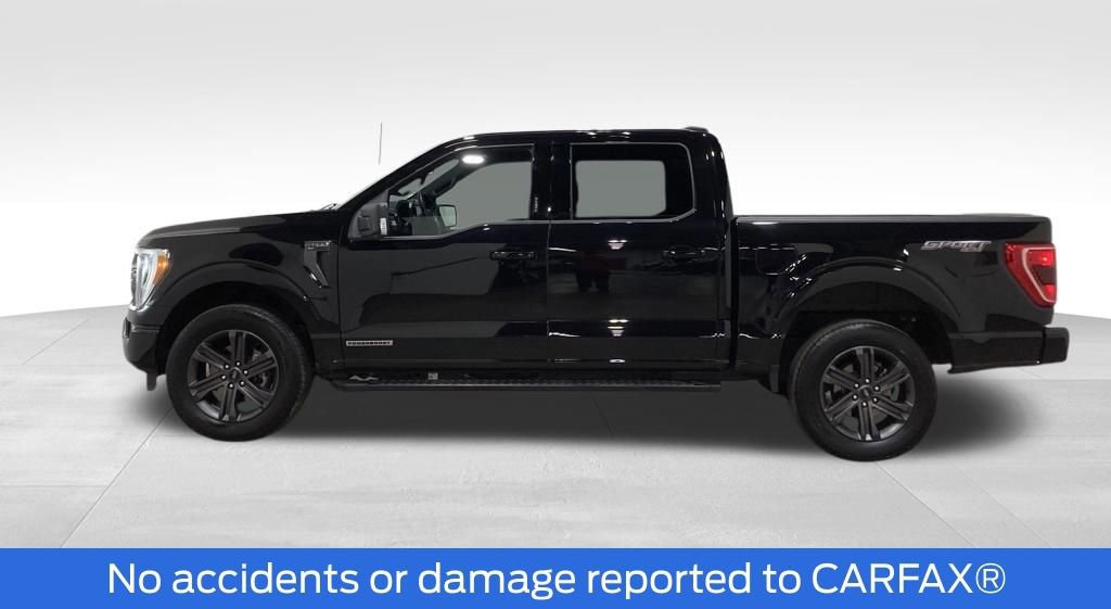 Certified 2023 Ford F150 XLT w/ Equipment Group 302A High image 6