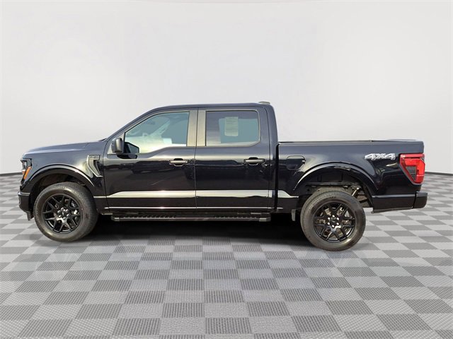 Certified 2024 Ford F150 STX w/ STX Black Appearance Package image 3