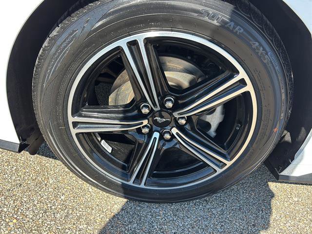 Certified 2024 Ford Mustang Premium image 8