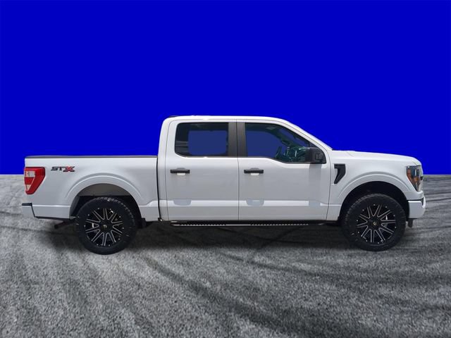 Certified 2023 Ford F150 XL w/ STX Appearance Package RWD image 3