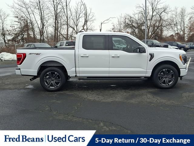 Certified 2023 Ford F150 XLT w/ Equipment Group 302A High image 9