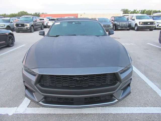 Certified 2025 Ford Mustang Convertible w/ Mustang Nite Pony Package RWD image 2