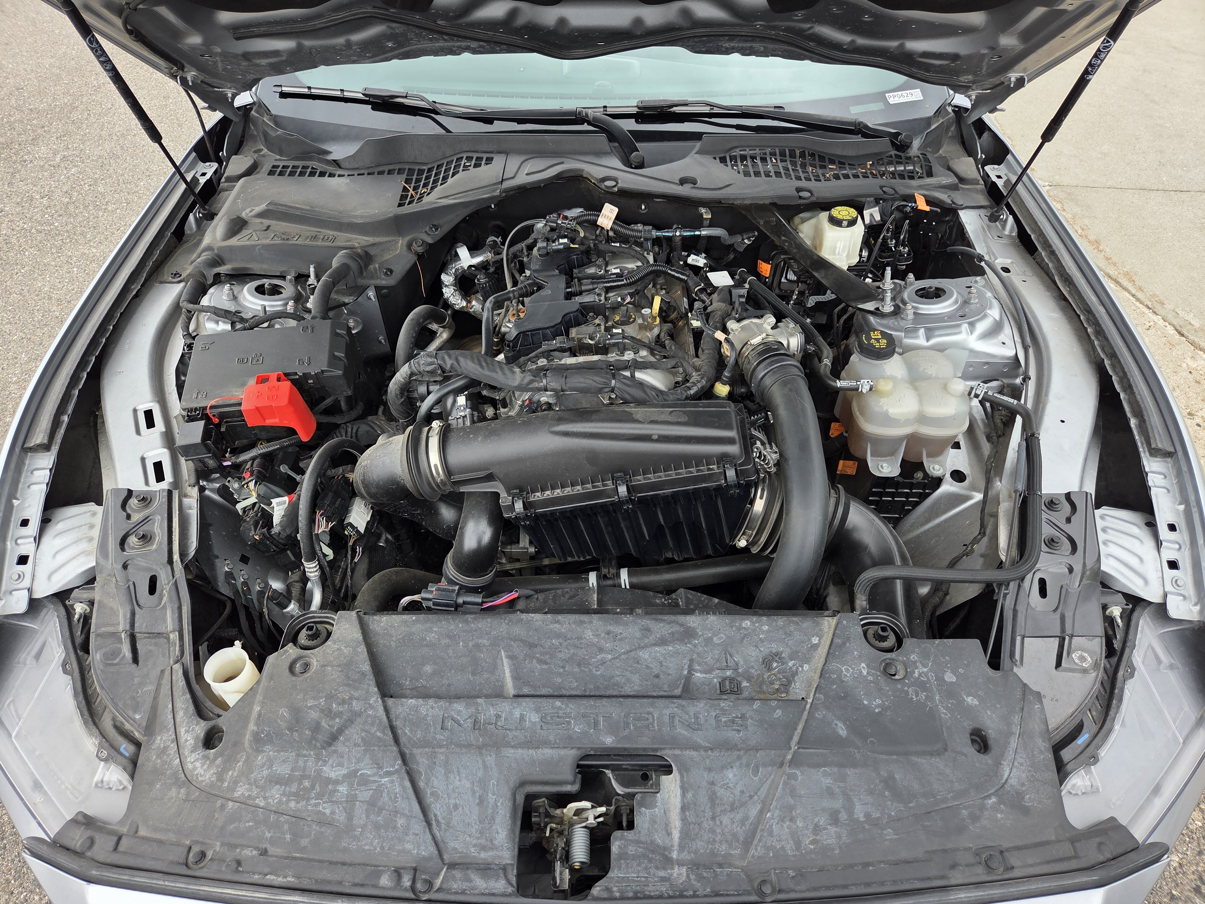Certified 2024 Ford Mustang Premium RWD image 9
