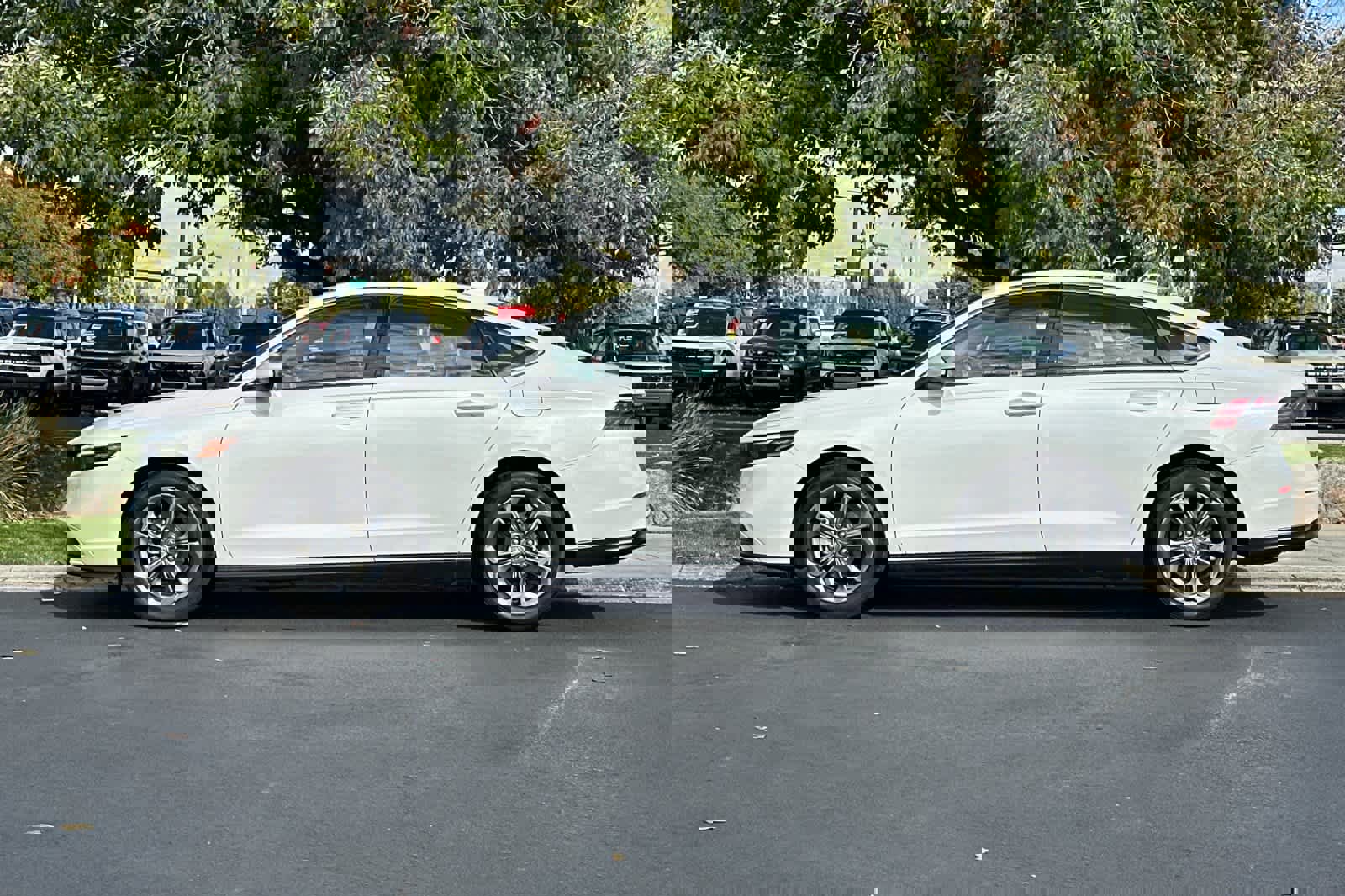 Used 2023 Honda Accord EX image 2